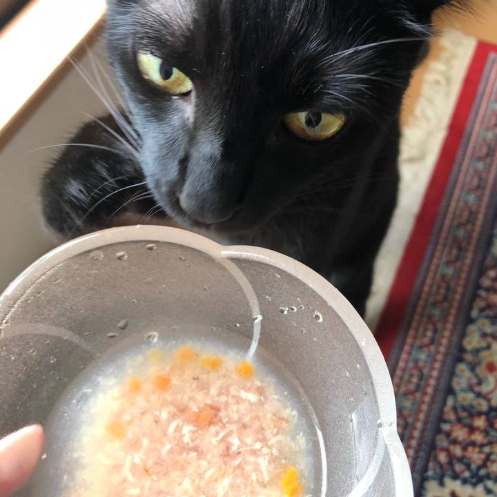 E658405c 8174 4ba7 9e17 f6a051e81d43 1536538792303