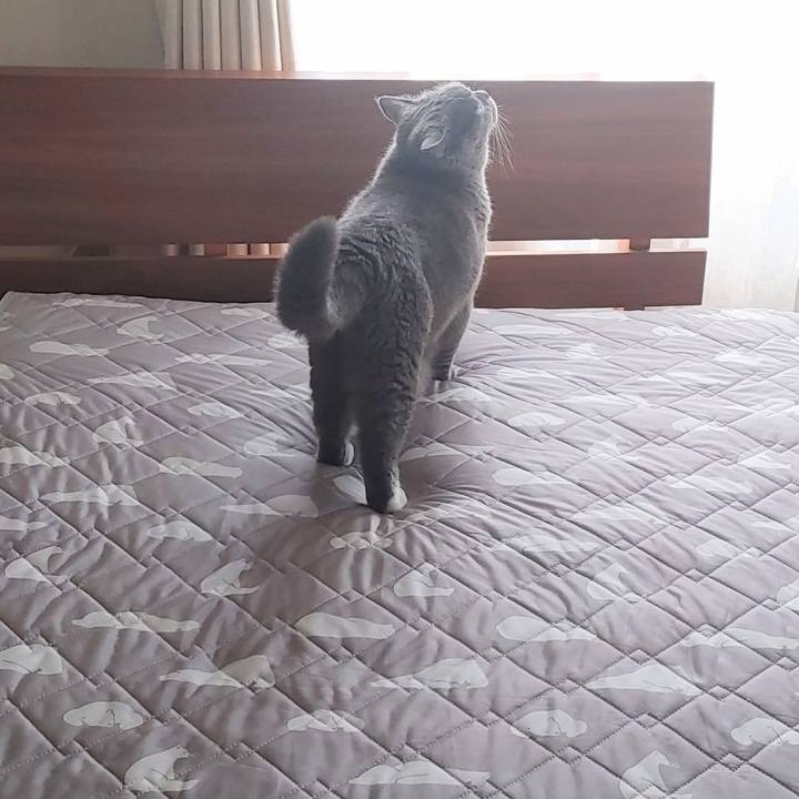 E658caf3 ceec 4e7a 8fda 92a96f77035a 1662763287533