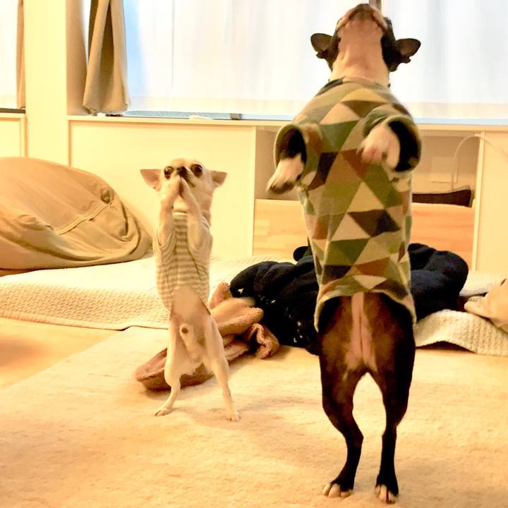 E658cb5c f2e5 4518 a928 f72006671050 1517479551947