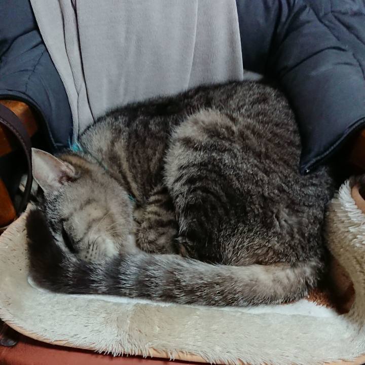 E658ee31 94d1 49c8 977c c25f44dd3520 1551498167675