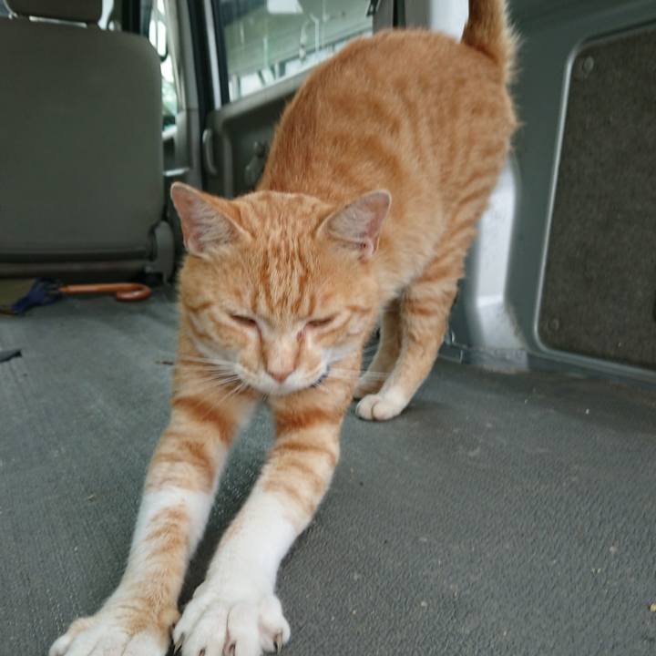 E65926c5 c948 42c2 aac4 aec0ab3d8920 1562317912850