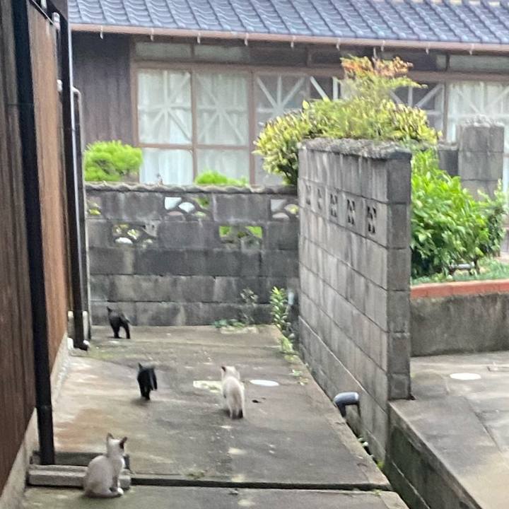 E659285b 1406 428b 98b5 98f27459d1a4 1760912650719