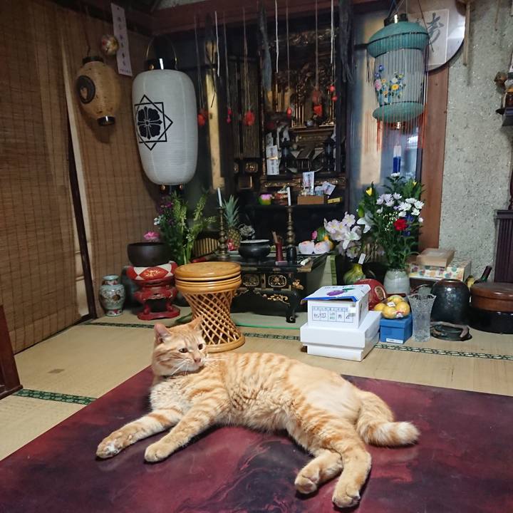 E65931b5 f549 4342 a911 1e62d0717d7e 1660380784555