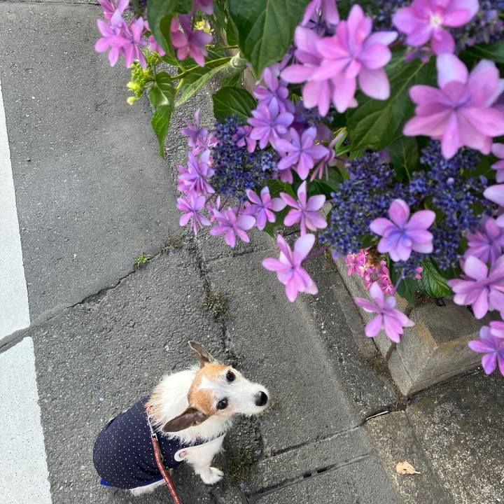 E6593cb3 e76a 4f3f a5c7 b73ae9deeb34 1717805773445