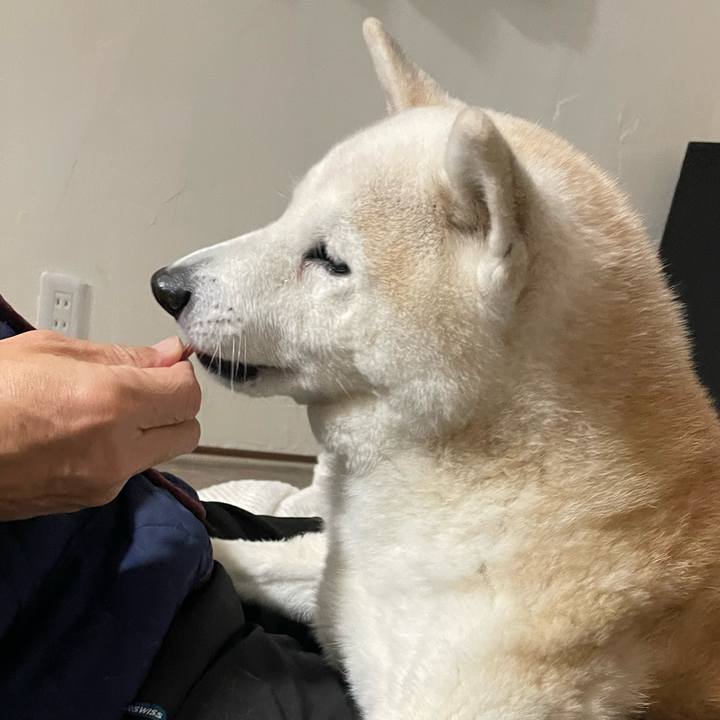 E659684b bc76 4d06 ace5 350a88eb72e8 1675681155233