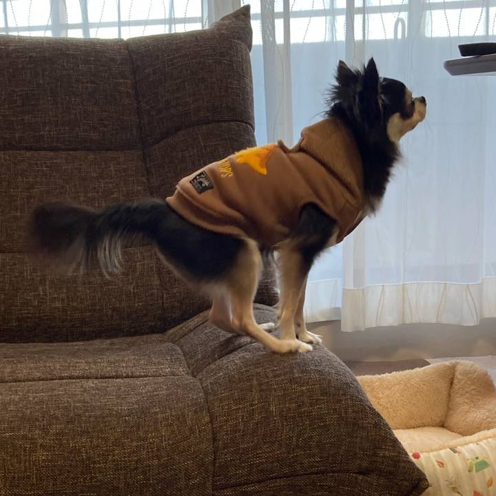 E6599abb 3f4d 4161 9a44 2f67d5613f68 1705206228505