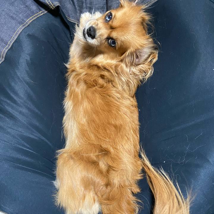 E659a46a 0fdd 45c2 add8 8d43fe746731 1603319211172