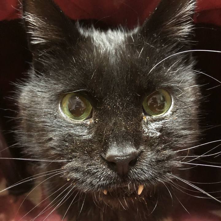 E659b99c 2d2e 4624 afe8 4ee301a79609 1644919333610