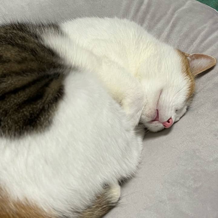 E659bcb3 ec06 41bb 8bfc 9f5f4a172cae 1761133554155