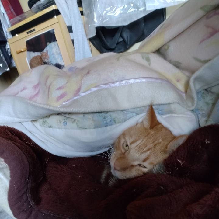 E659ca3f 1112 4aab 83e6 aa4c10c91b64 1698726924590