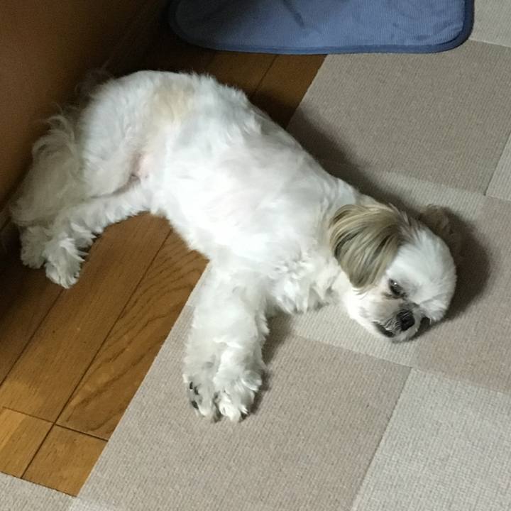 E659e17c ff04 43b8 b78e 05c2101e671d 1566475743036