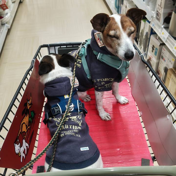 E659e966 cf58 430a a620 b14051c15eb1 1772893508733