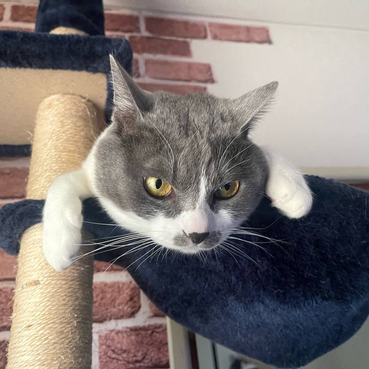 E65a1397 69de 43a9 abd2 bcb758f64218 1670580625746