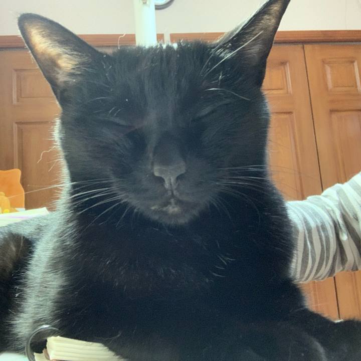 E65a3a42 6a49 461e a4ec 30cba8f612fe 1588543476500