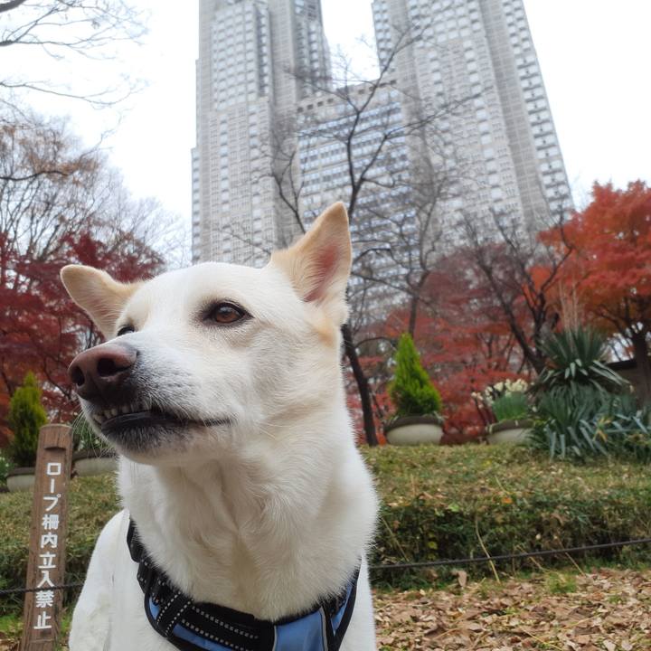 E65a5039 81dd 415a a0ac 281a827db585 1671259040043