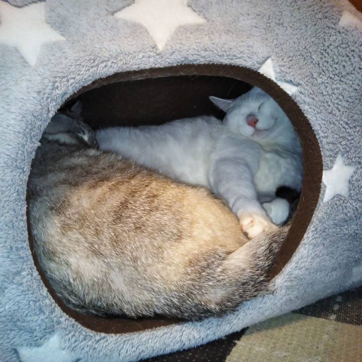 E65a699e fea7 4b71 900c 9daf385e7071 1578835700579