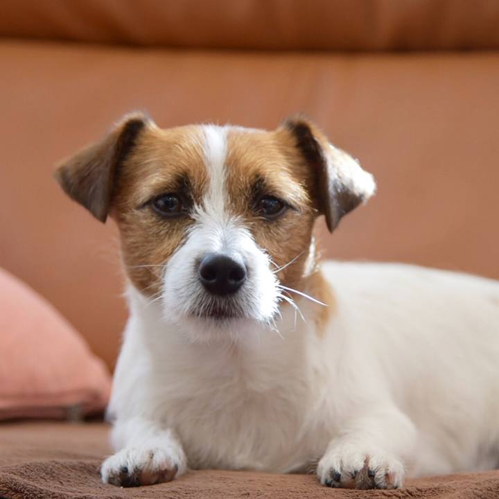 E65a6e80 e374 474b 97b1 4d7aa8916c2e 1519210646524