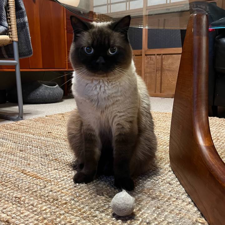 E65a836c 65f0 4677 956a 308f1523bd86 1657021147610