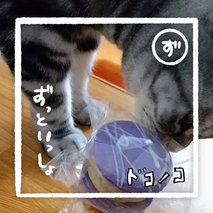 E65aa441 920a 4e28 aa0c 013df71088f8 1685962841816