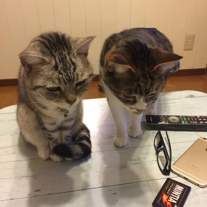 E65aca0c 6c88 44dd 9d55 9765a076276b 1555859969917