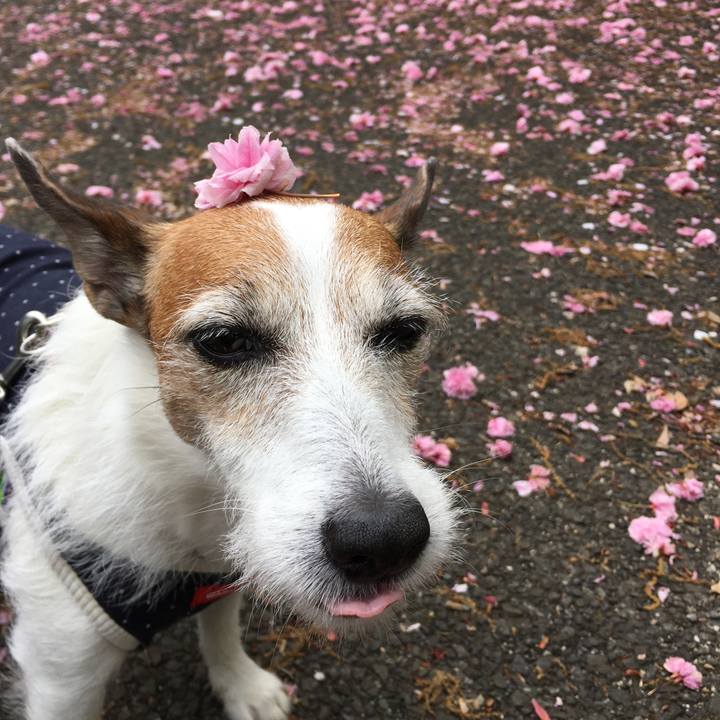 E65ae762 036a 41dc 8c52 c0a13414f5e3 1651102231260