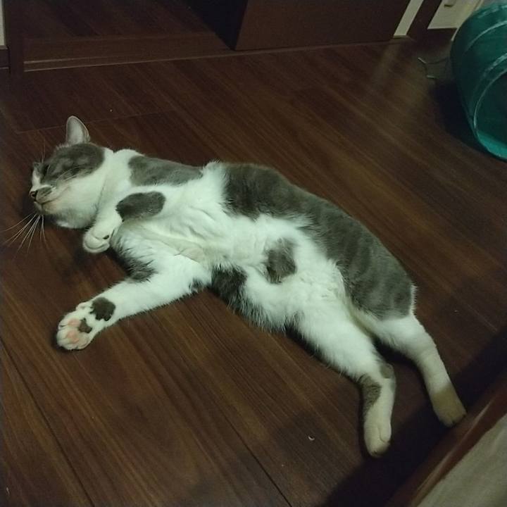 E65b16a9 f58c 4c43 a866 29dc810d9b33 1634293955751