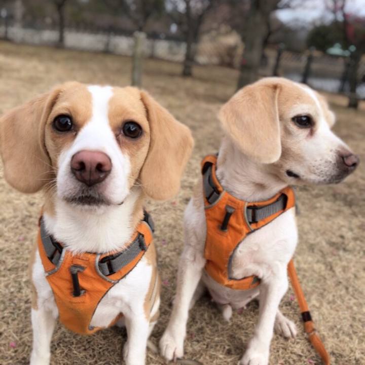 E65b328f 1282 4358 b786 5d813849ca63 1550641653221