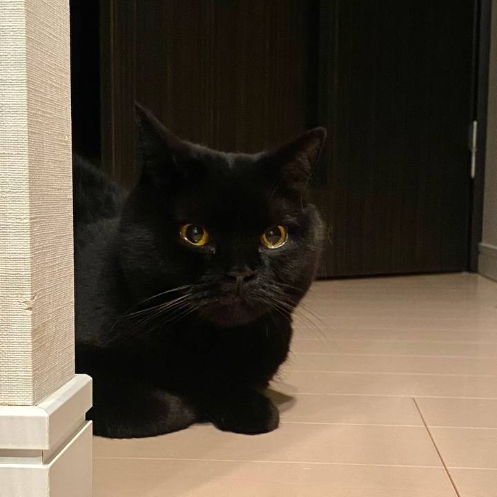 E65b4c76 ed28 461f a07c aff109f30f6e 1753618230932