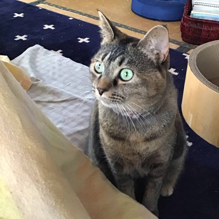 E65ba40d 8893 46b5 9f13 753b07e8a83e 1736297531833