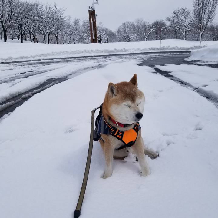 E65ba43f 06b5 4f4f 9652 d0c24d8ce8e9 1710993003018