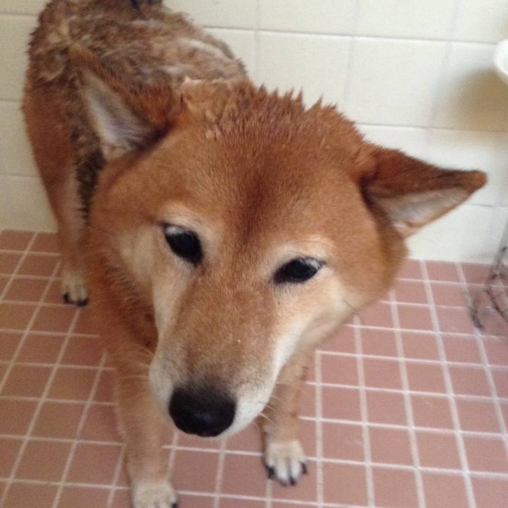 E65bb97d 7a84 4c55 909b 9c8a5fdafcfa 1536205387352