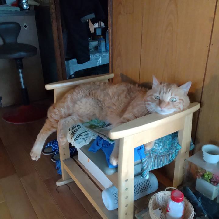 E65bf6b1 cadf 4d77 82a7 06cad55455cf 1721468703005