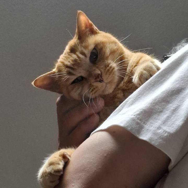 E65c019e 9ada 4d9e a156 efb67008e468 1750465220295