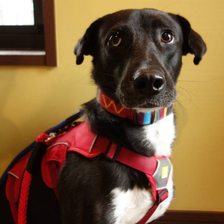 E65c0852 e9fb 4593 b357 9b2d91d39f4c 1586225822789