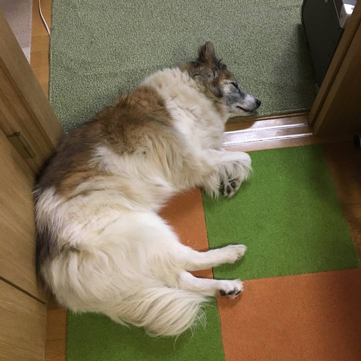 E65c0d67 183d 4ed0 9be3 4e56255bbe28 1509316755867