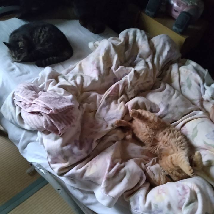 E65c1ded ba9c 461d ae28 70414744cca7 1686865496319