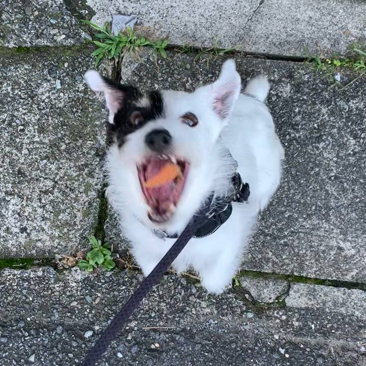 E65c22f7 74c5 4662 a13a cfd6beeadb20 1721001056634