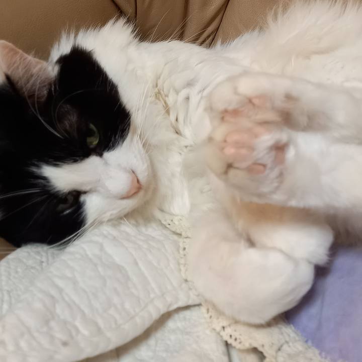 E65c4da7 d5b9 42dc 82d0 0d72c622465f 1611393419592