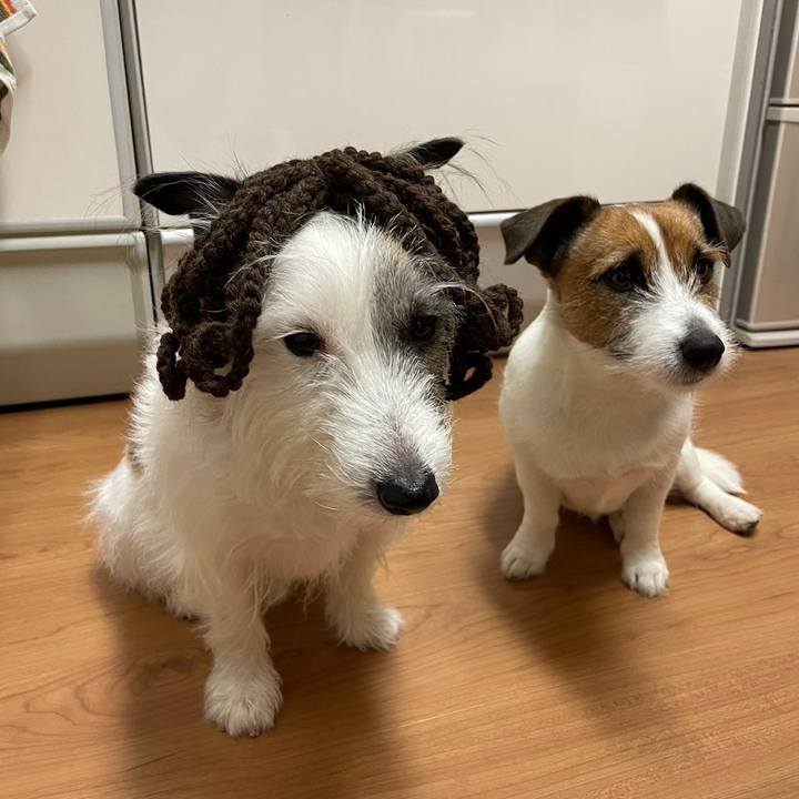 E65c735c e2ee 42c1 91cb 6fd1636729fa 1708088051678