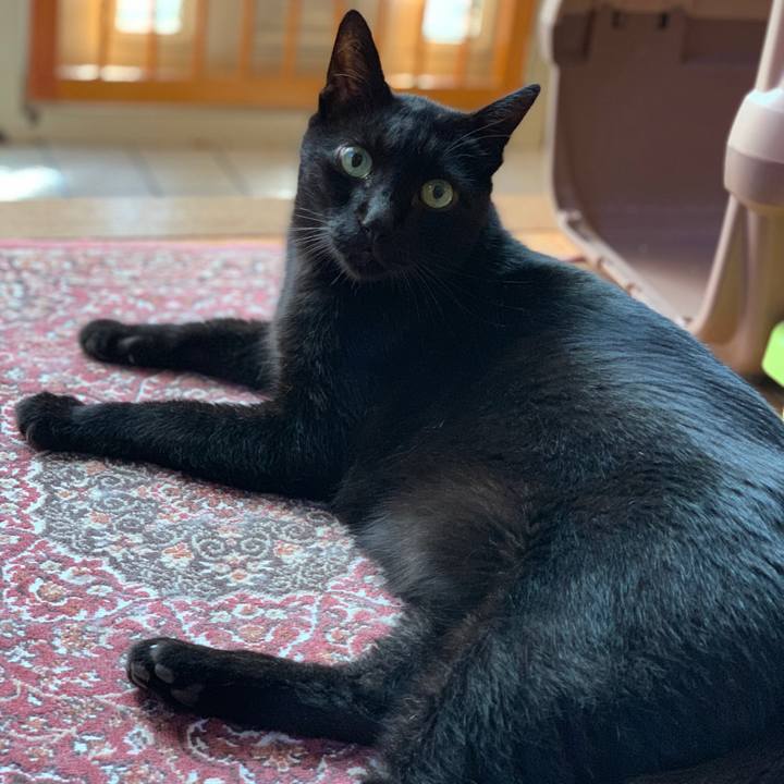 E65c7790 7de3 4feb 821c a1afd7b6e4ef 1568941053051