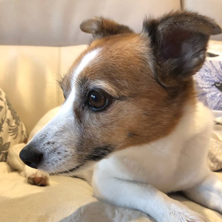 E65c7b82 c860 41a0 bf49 ff239eb957be 1534040580569