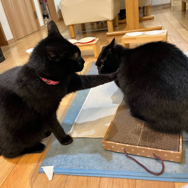 E65c8f33 d832 4f68 a10a 303d7a3c665d 1670854421731