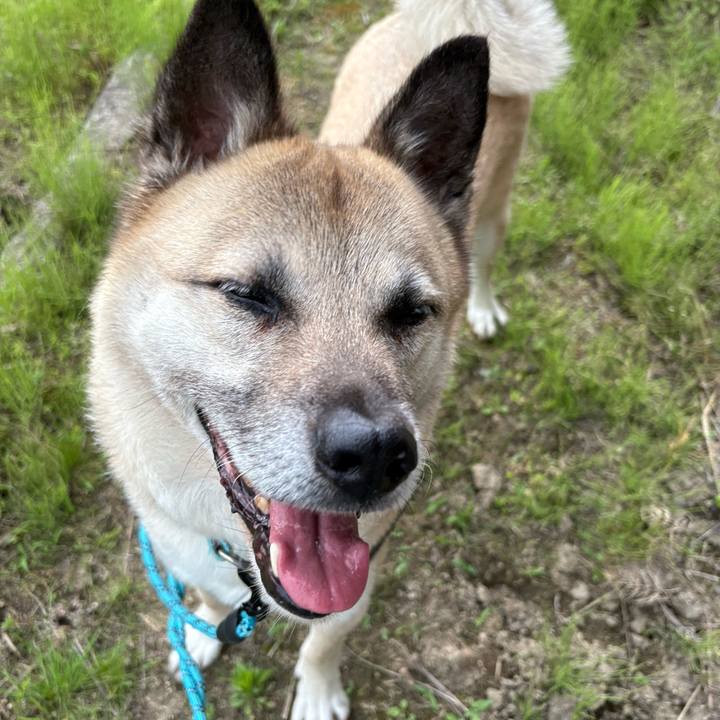 E65ca6fc 5509 4431 9392 33365a0095b5 1747742109660