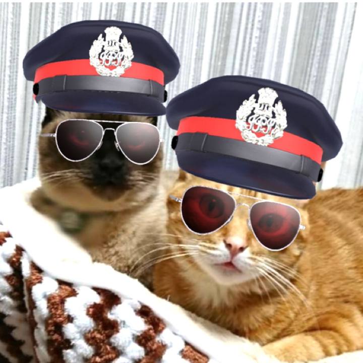 E65cc130 e572 4b11 8ba6 0e8a408b34b4 1566650186476