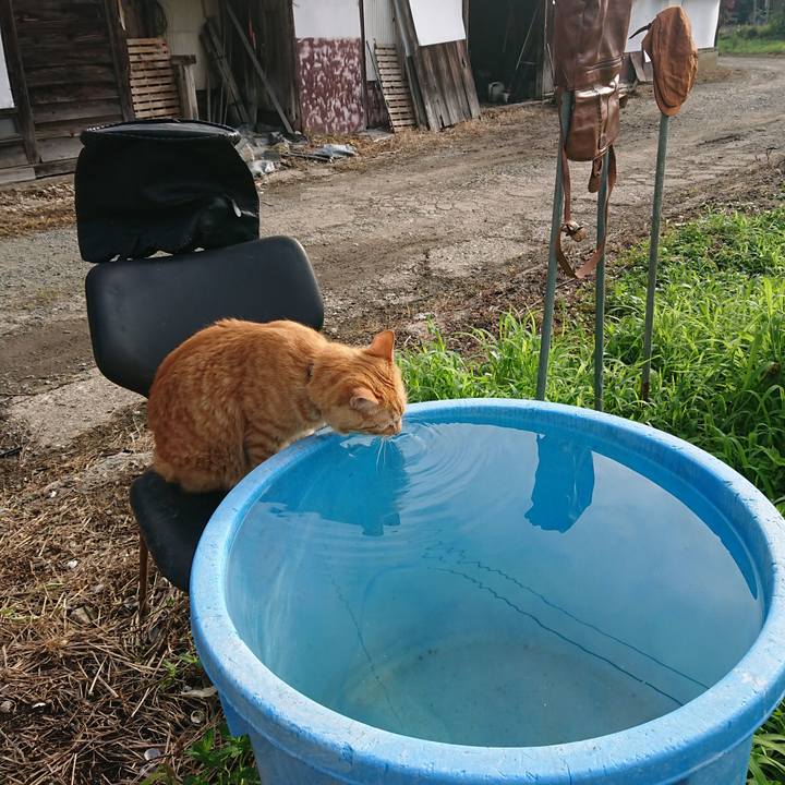 E65ce024 0930 40fa b705 7f86b6cd80c1 1659736783776