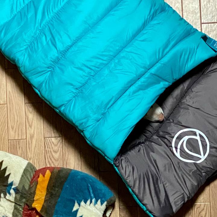 E65ced20 cb3b 474f 8e88 aefe99d83234 1651099165213