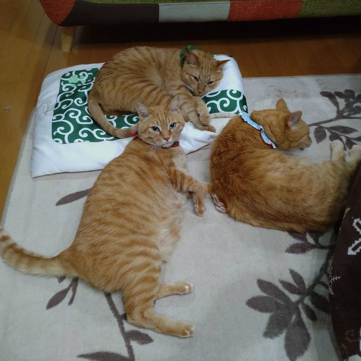 E65d2062 ad1b 41aa bdf3 2f08eba01099 1642417353928