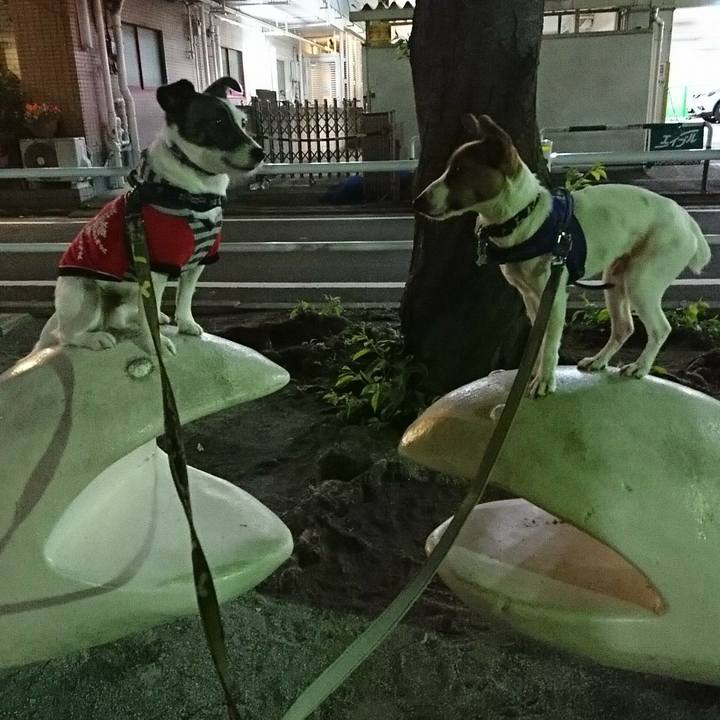 E65d3872 52f4 4f1f ad02 6a04dd2d8d1e 1524830468523