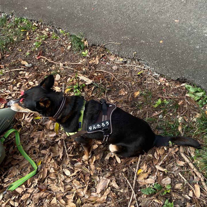 E65d4175 860d 4bdc bf5a b306cb715f06 1700877785334