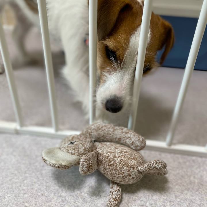 E65d8db3 e8a8 4c84 8c0b 91cbcf23a525 1660450132712